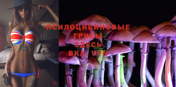 не бодяженный Гусь-Хрустальный