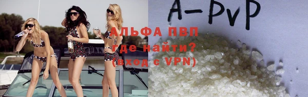 spice Гусев