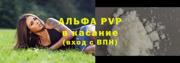spice Гусев