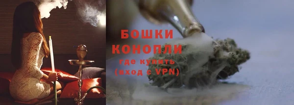 spice Гусев