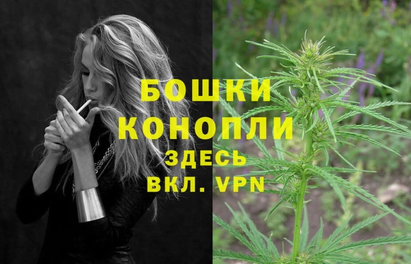 не бодяженный Гусь-Хрустальный