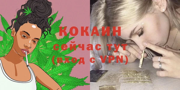 стаф Дмитров