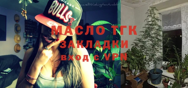 стаф Дмитров