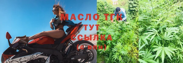 spice Гусев